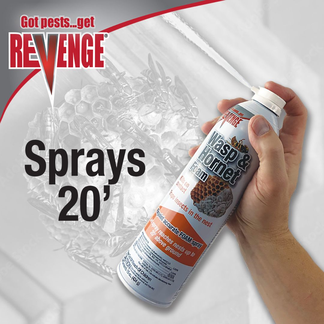 Revenge Wasp & Hornet Foam Aerosol – Bonide – 15 oz